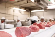 Can Meat Industry Become More Eco-Friendly