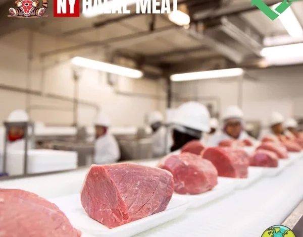 Can Meat Industry Become More Eco-Friendly