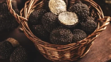 Can Muslims Eat Truffles?