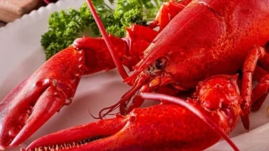 Are Lobsters Halal?