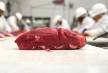 Meat industry trends Rising food prices Meat production challenges Sustainable meat production Automation in meat processing Plant-based meat alternatives Lab-grown meat Meat cost increase Reducing meat production costs