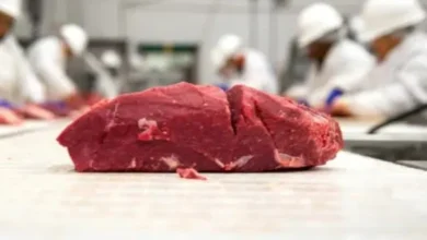 Meat industry trends Rising food prices Meat production challenges Sustainable meat production Automation in meat processing Plant-based meat alternatives Lab-grown meat Meat cost increase Reducing meat production costs