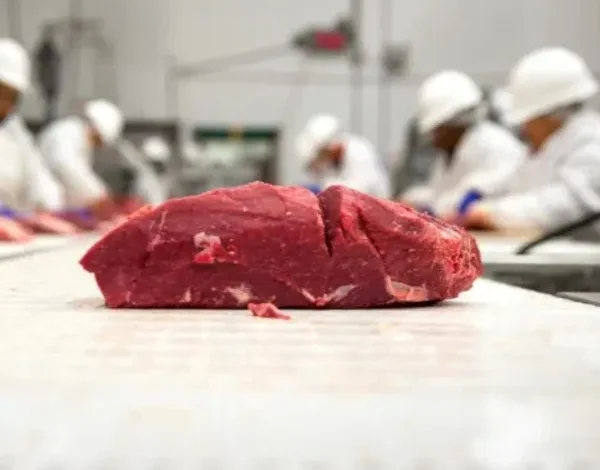 Meat industry trends Rising food prices Meat production challenges Sustainable meat production Automation in meat processing Plant-based meat alternatives Lab-grown meat Meat cost increase Reducing meat production costs